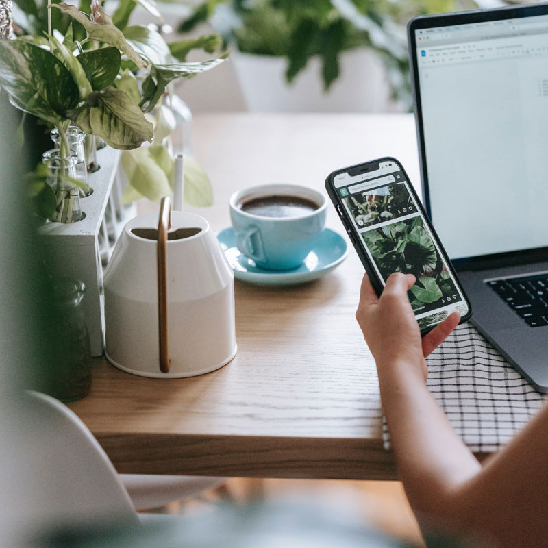 Social media marketing