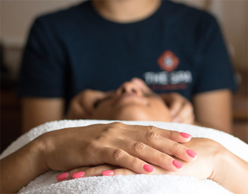 Lions Dive Portfolio